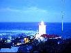 Lighthouse family not at home