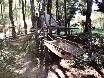 Hammocks in the forest, only problem: the bugs