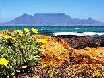 Blick von Blouberg Strand im Frhling.