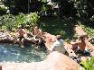 nature pool not only for hippos