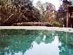 Naturpool, nur die Affen schauen zu.