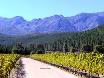 There are also wines here
